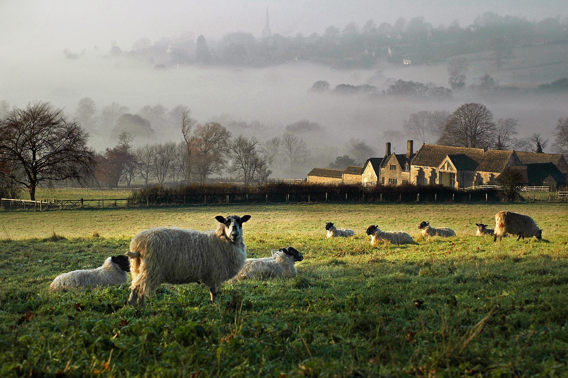 Cotswold Inns & Hotels | Country House Hotels in the Cotswolds